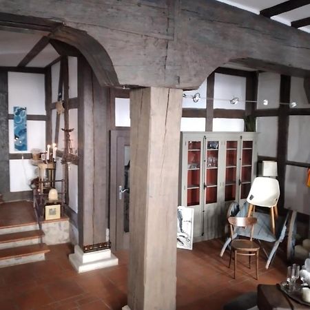 Historische Raume Uber Mittelaltergewolbe Mit Terrasse Appartamento Erfurt Esterno foto