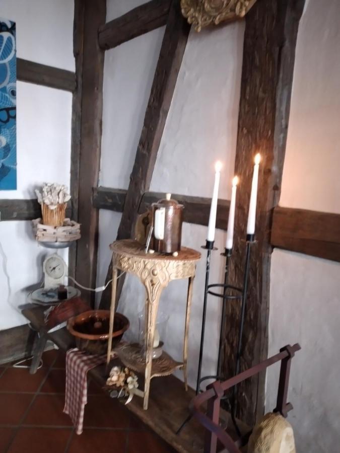 Historische Raume Uber Mittelaltergewolbe Mit Terrasse Appartamento Erfurt Esterno foto